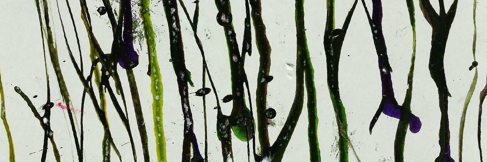 _duque's profile banner image