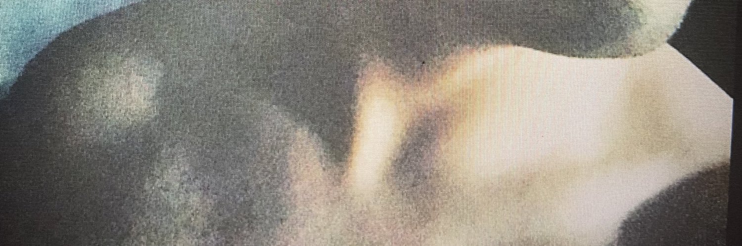 Jo_Nathan__'s profile banner image