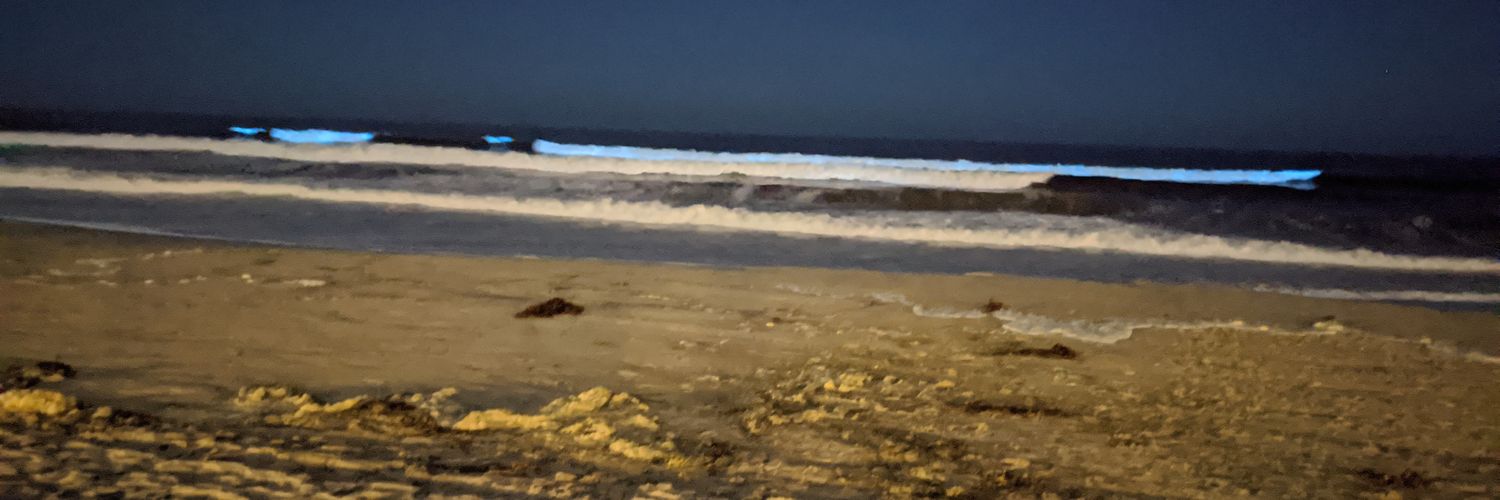 RalphVelis's profile banner image