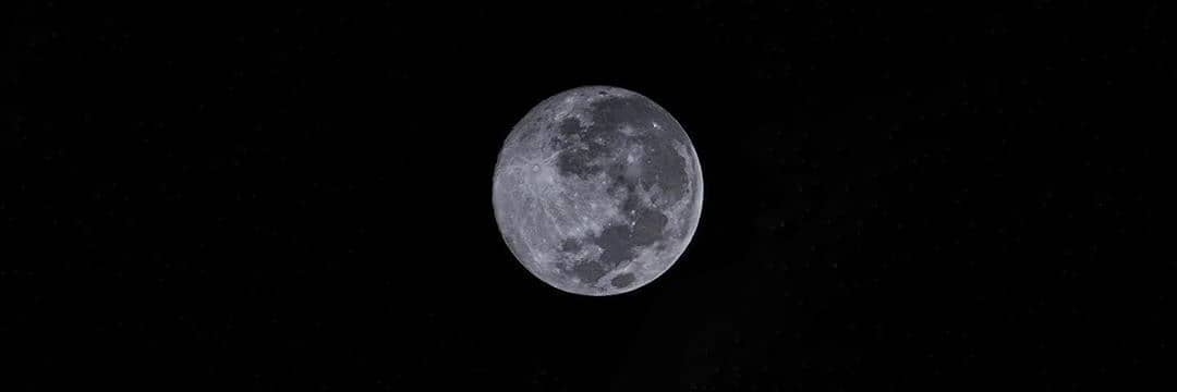 dasarum98's profile banner image