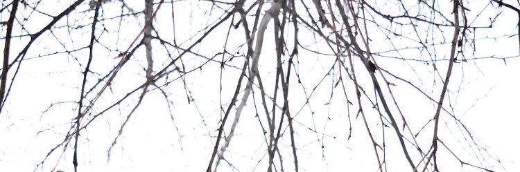 JordanABarrett's profile banner image