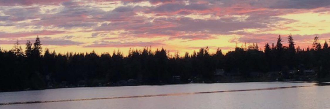 Bailey_03's profile banner image