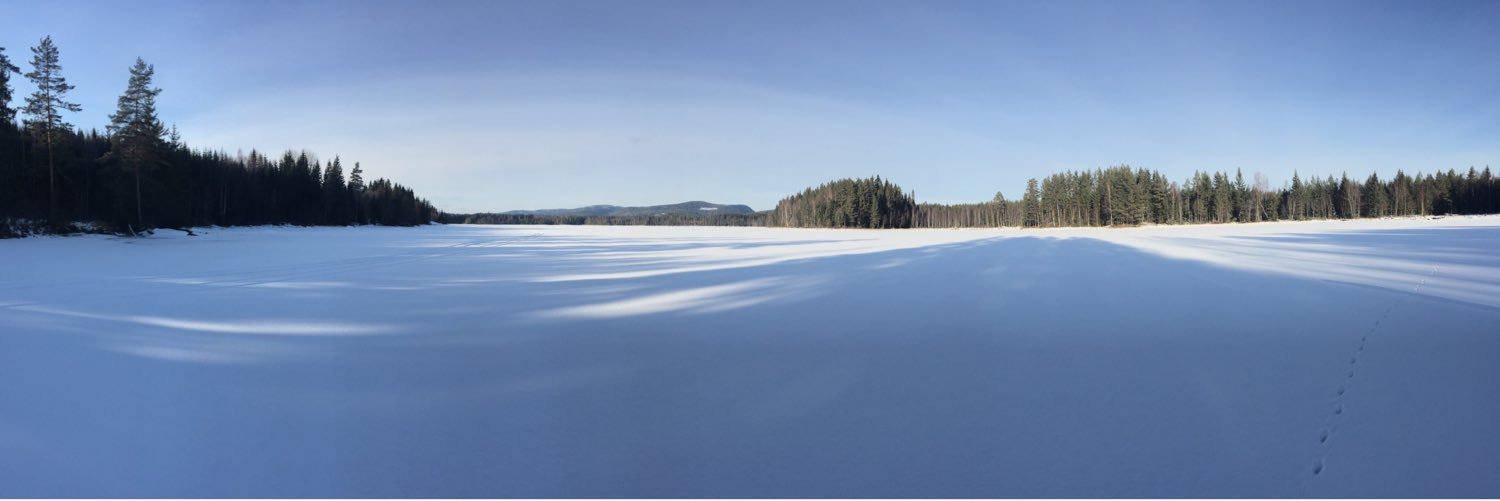 MrHPoo's profile banner image