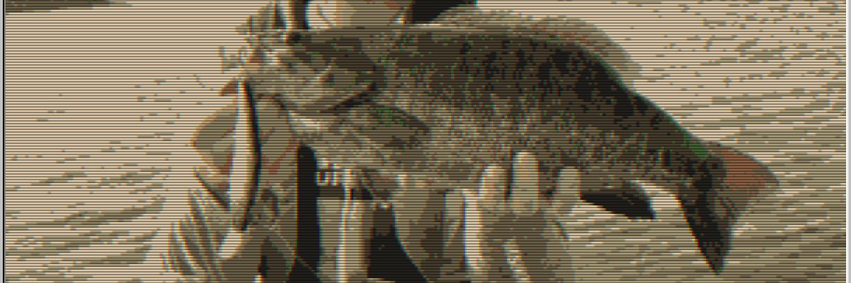 Dustin Boczek banner