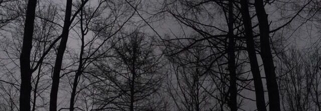 daguer96's profile banner image