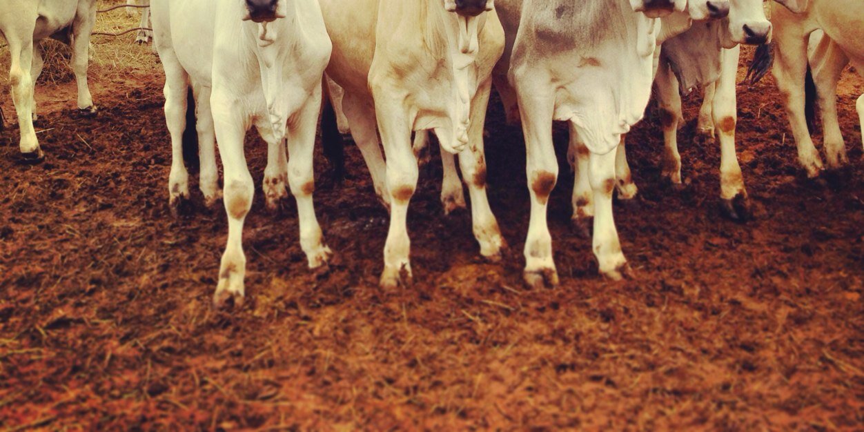 moooings's profile banner image