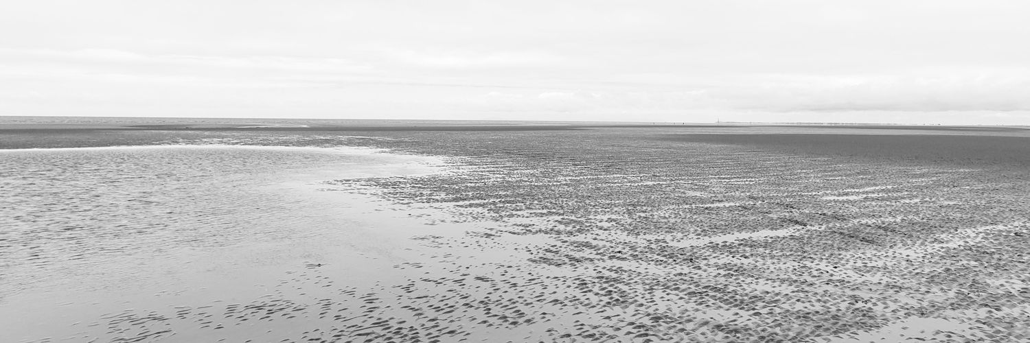 Twitter banner for @hiccup