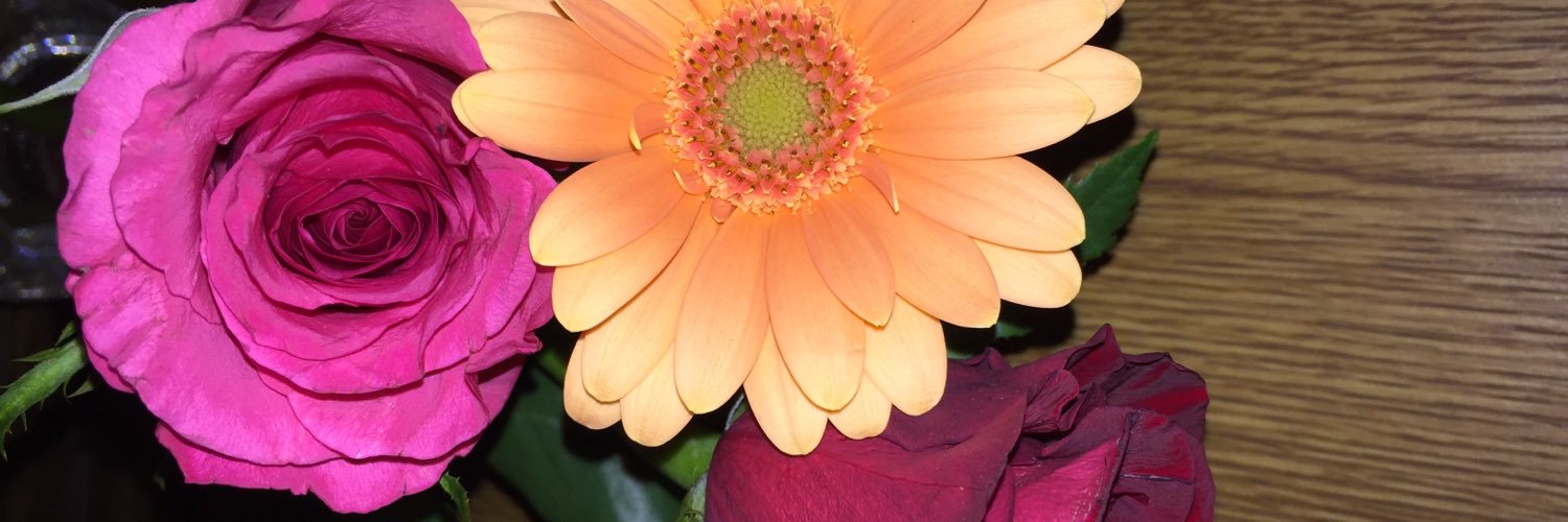 051229tomo's profile banner image