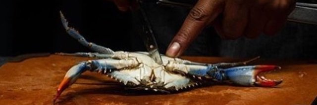 NigelWithDKnife's profile banner image