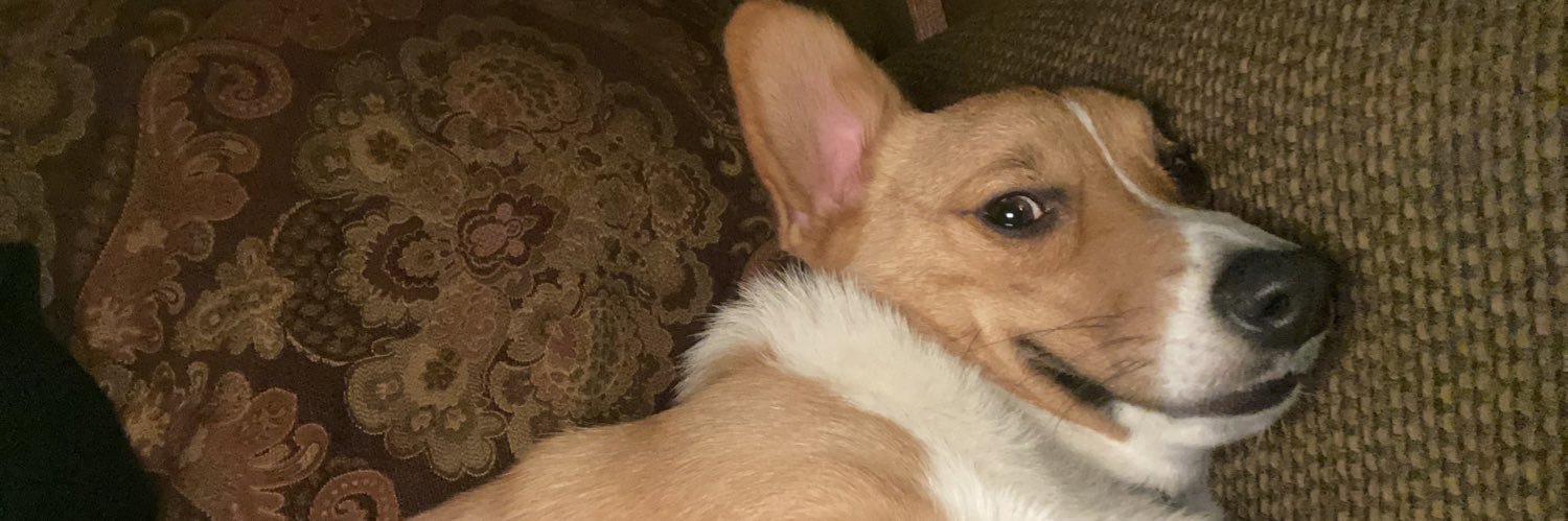 Stephen Morrell banner