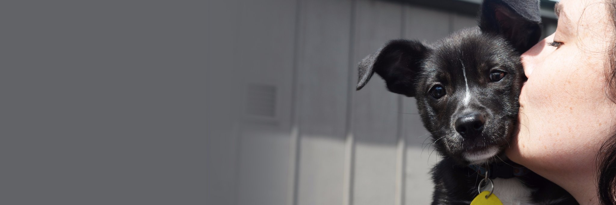 WHSHumane's profile banner image