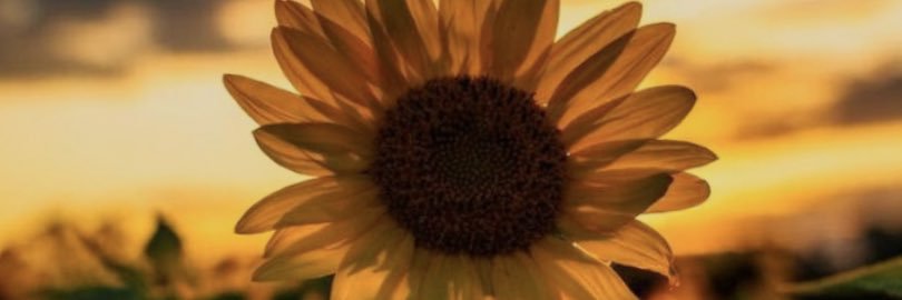KGLathers's profile banner image