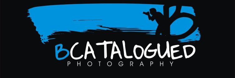 bcatalogued's profile banner image