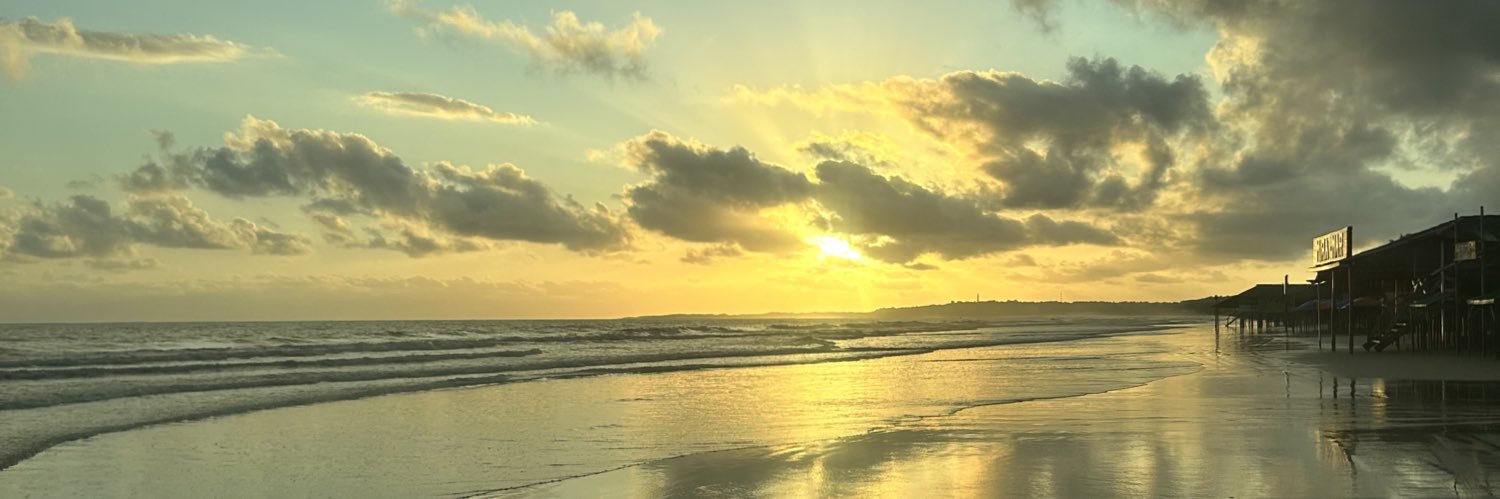 NetuPlay's profile banner image