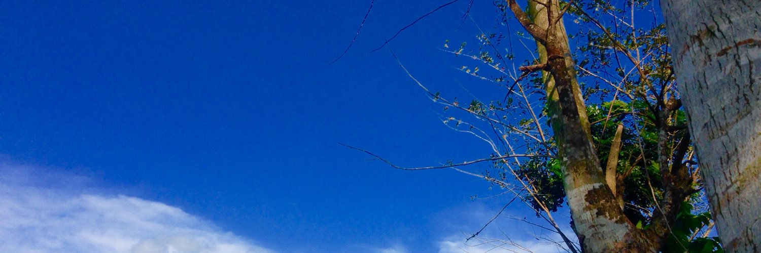 umayqee's profile banner image
