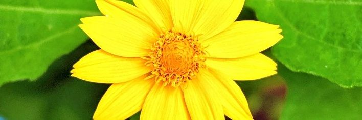 786trigo's profile banner image