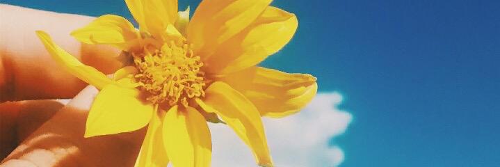 priscilasael's profile banner image