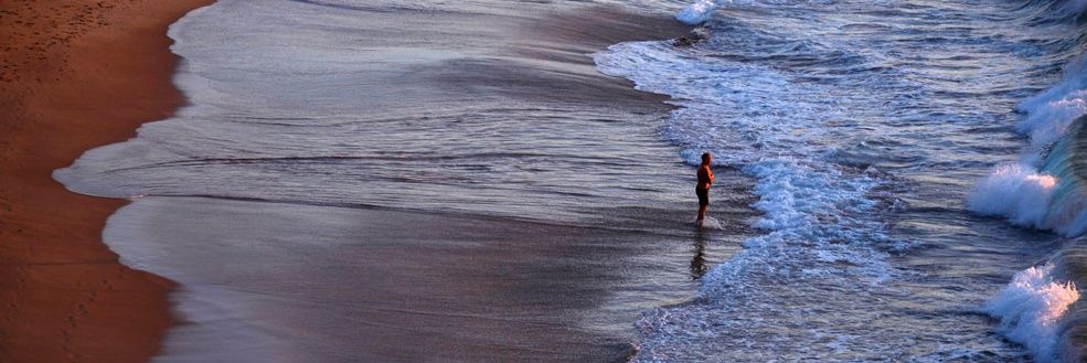 V.Thanabalasingham banner