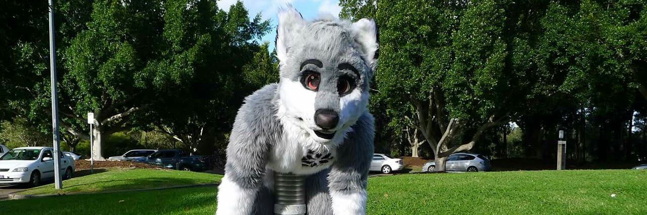 aRTi Husky 🐺 banner