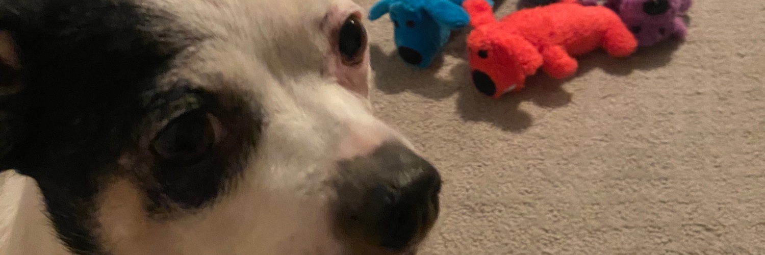 AngelicaaaaR's profile banner image
