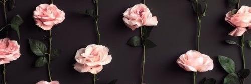 abbiedomaboc's profile banner image