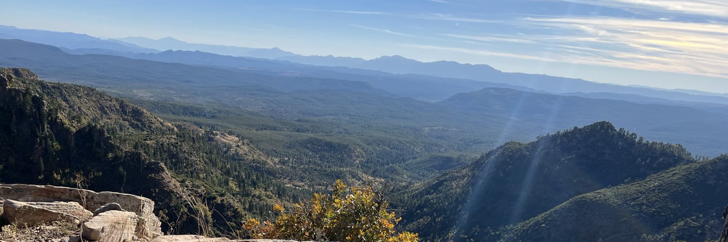 Matt Garrison banner