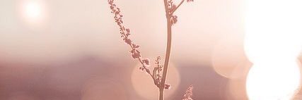 chantcarter_ox's profile banner image