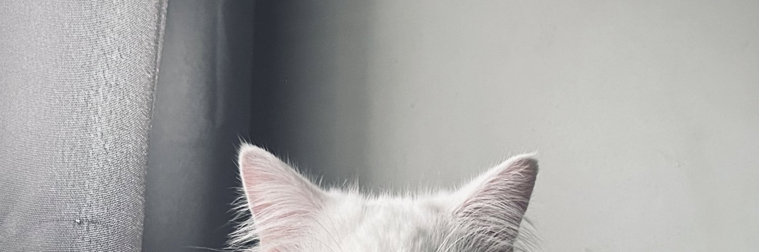Benedict1150's profile banner image