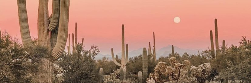 JustTaylee's profile banner image