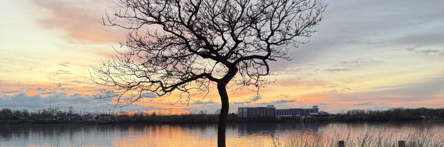 Jessica Day🌻🦉 banner