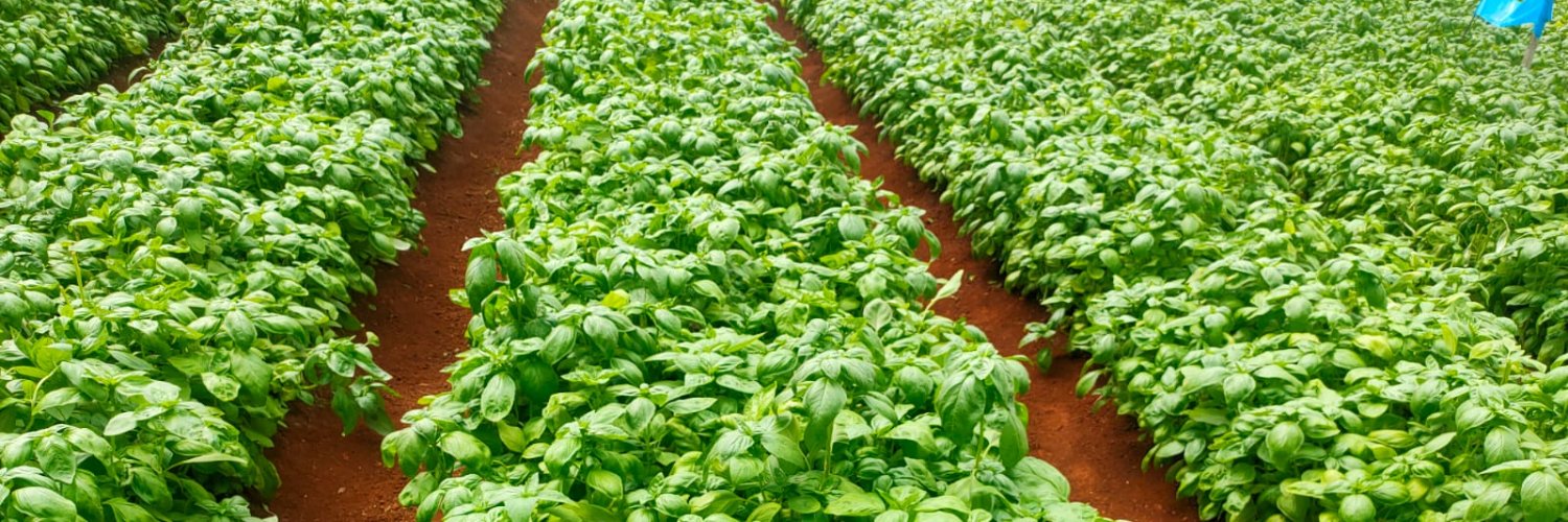 #FoodSecurityKE banner