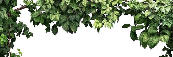visualsment_'s profile banner image