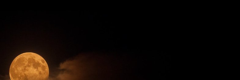 faridardian's profile banner image