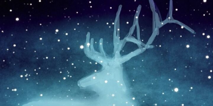 Mahhhamm's profile banner image