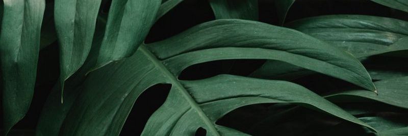 Oku_KS's profile banner image