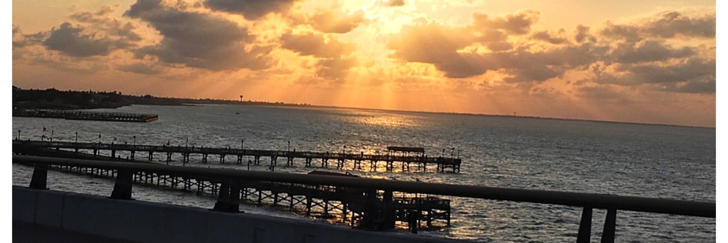 niki_j90's profile banner image