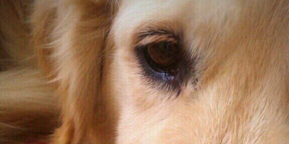 irene_marper's profile banner image