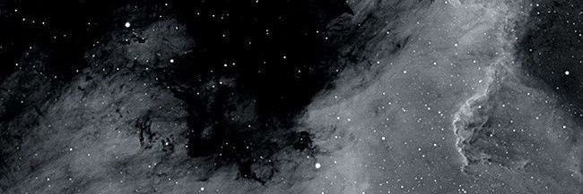 Sea banner