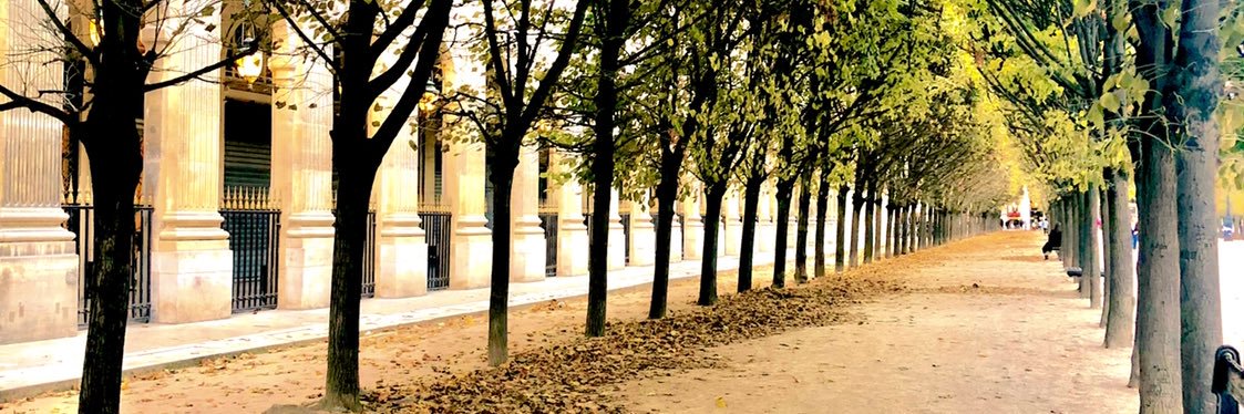 NadafiHamdam's profile banner image