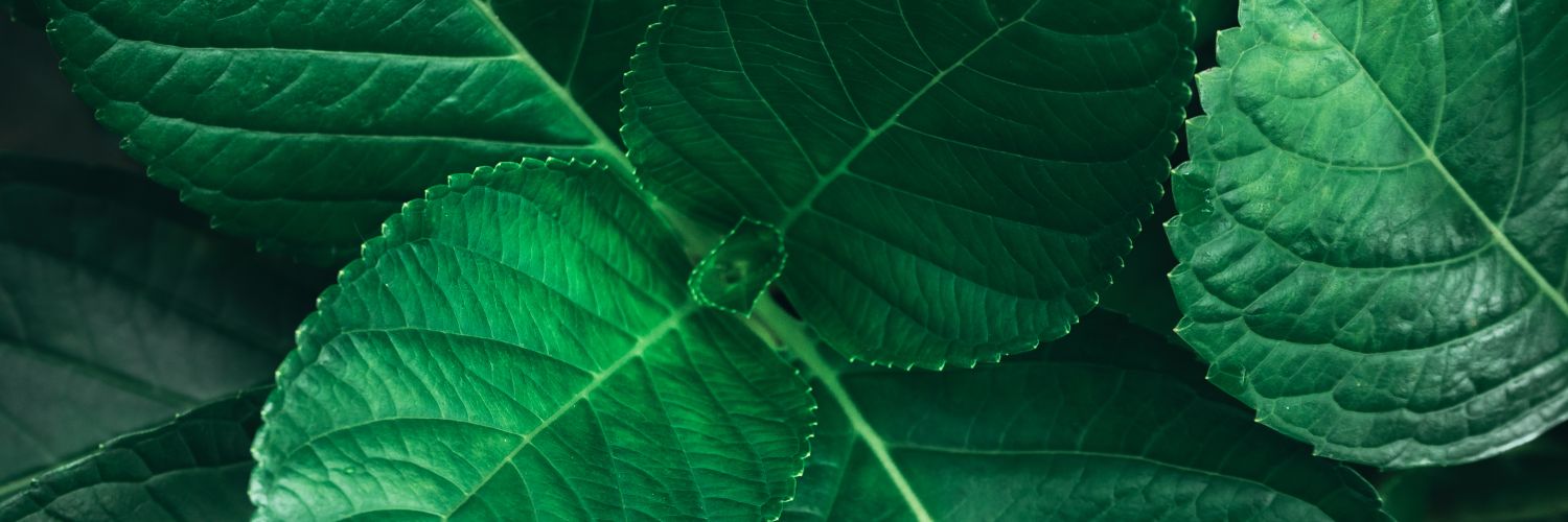 Hit_The_Goal's profile banner image