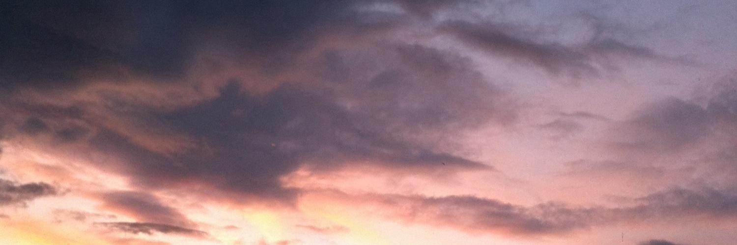 SophElizSmith's profile banner image