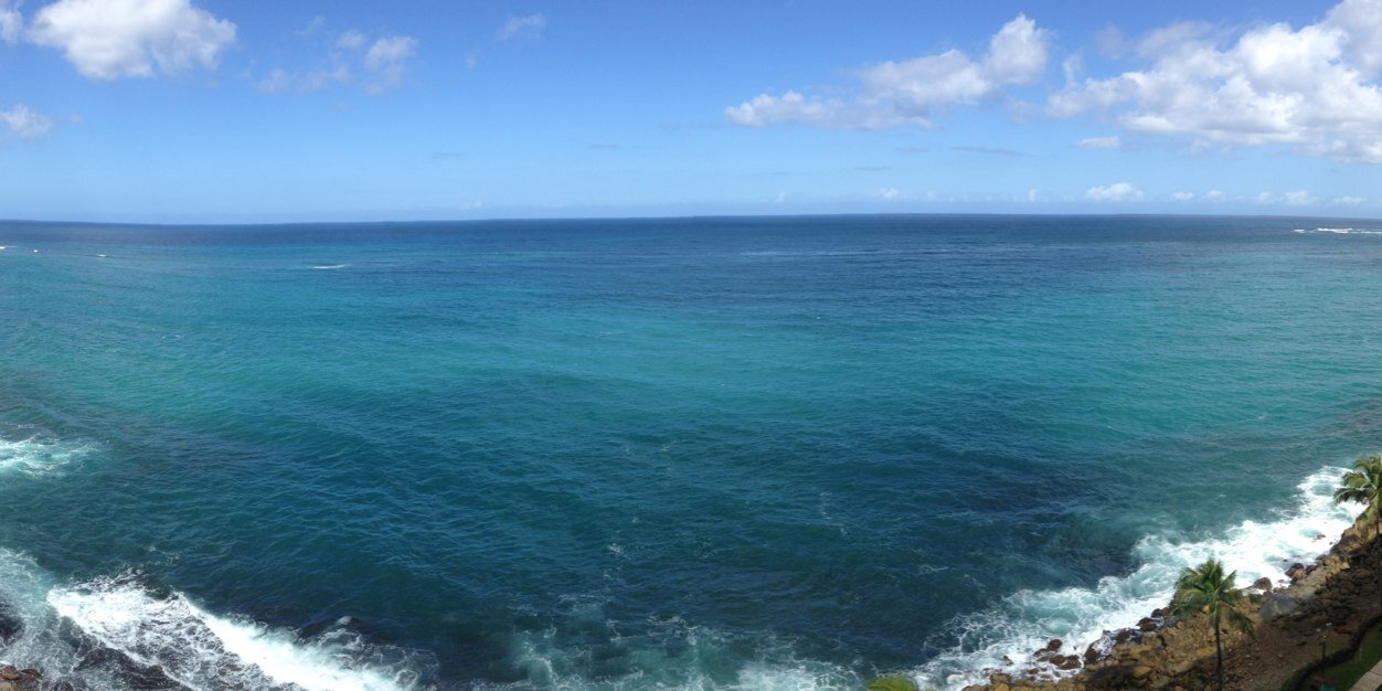 Megan Costello banner