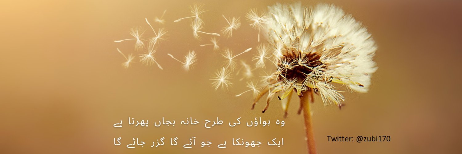 Zubi170's profile banner image