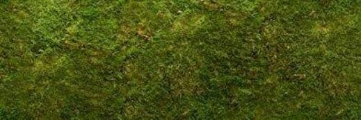 TheBodyShop Online banner