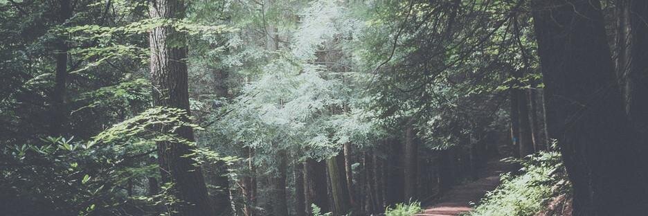 LakynsArmy's profile banner image