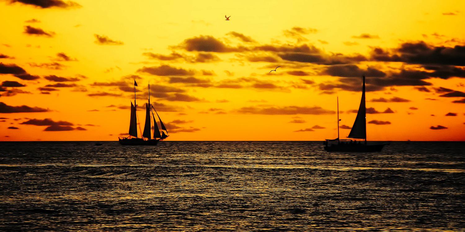 Canalmar's profile banner image