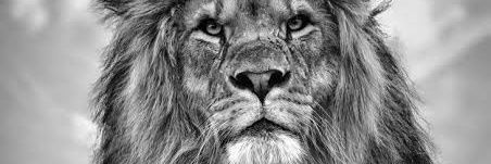 UtsavChitroda's profile banner image