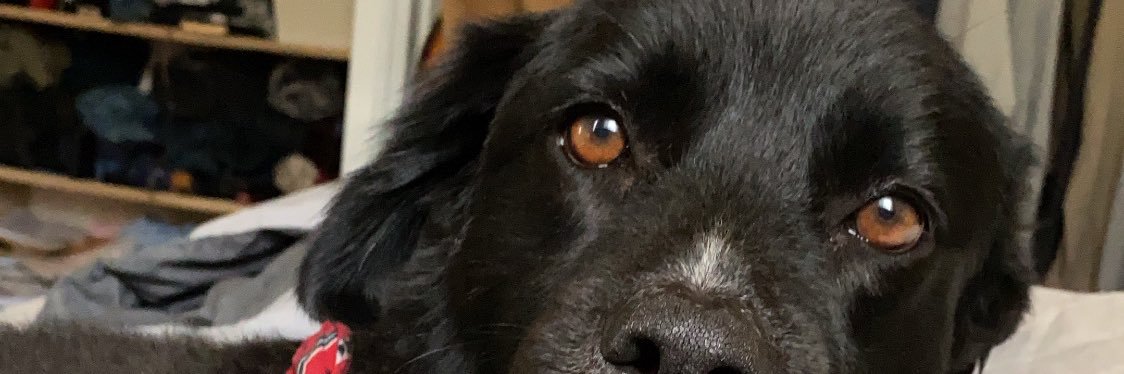 Alanstarzinski's profile banner image