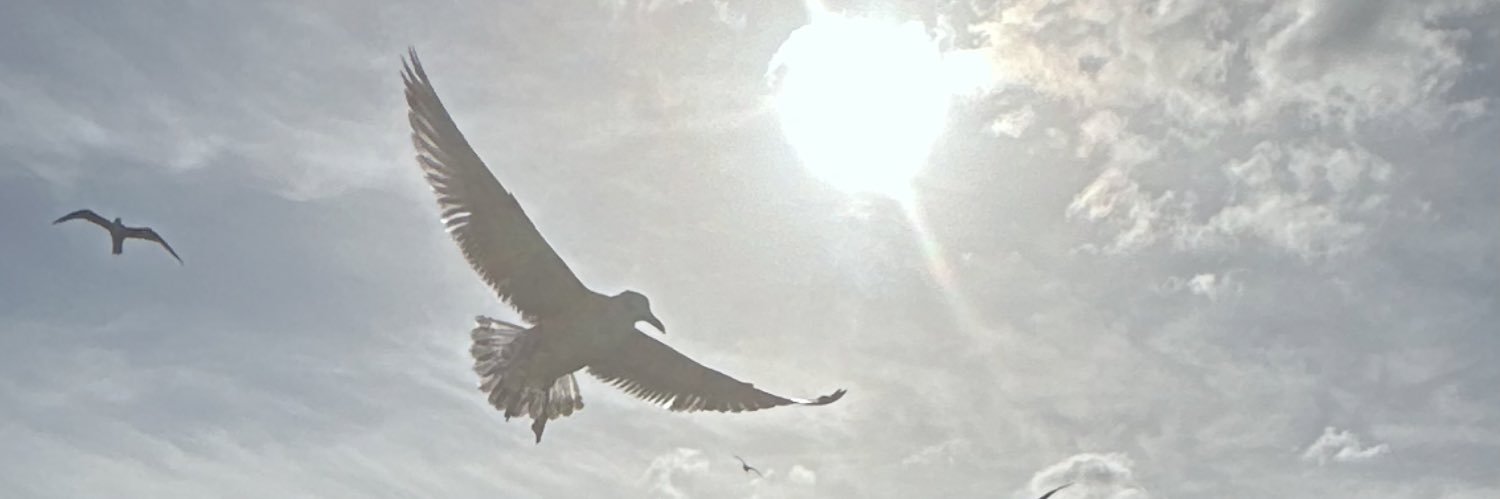 bramsoze's profile banner image
