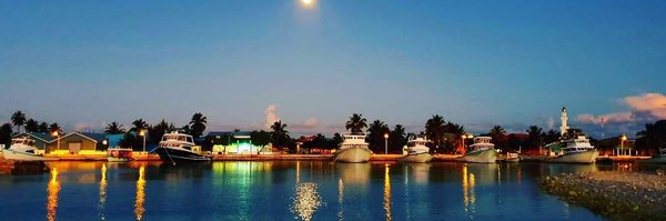 H_haleem_AH Profile Banner